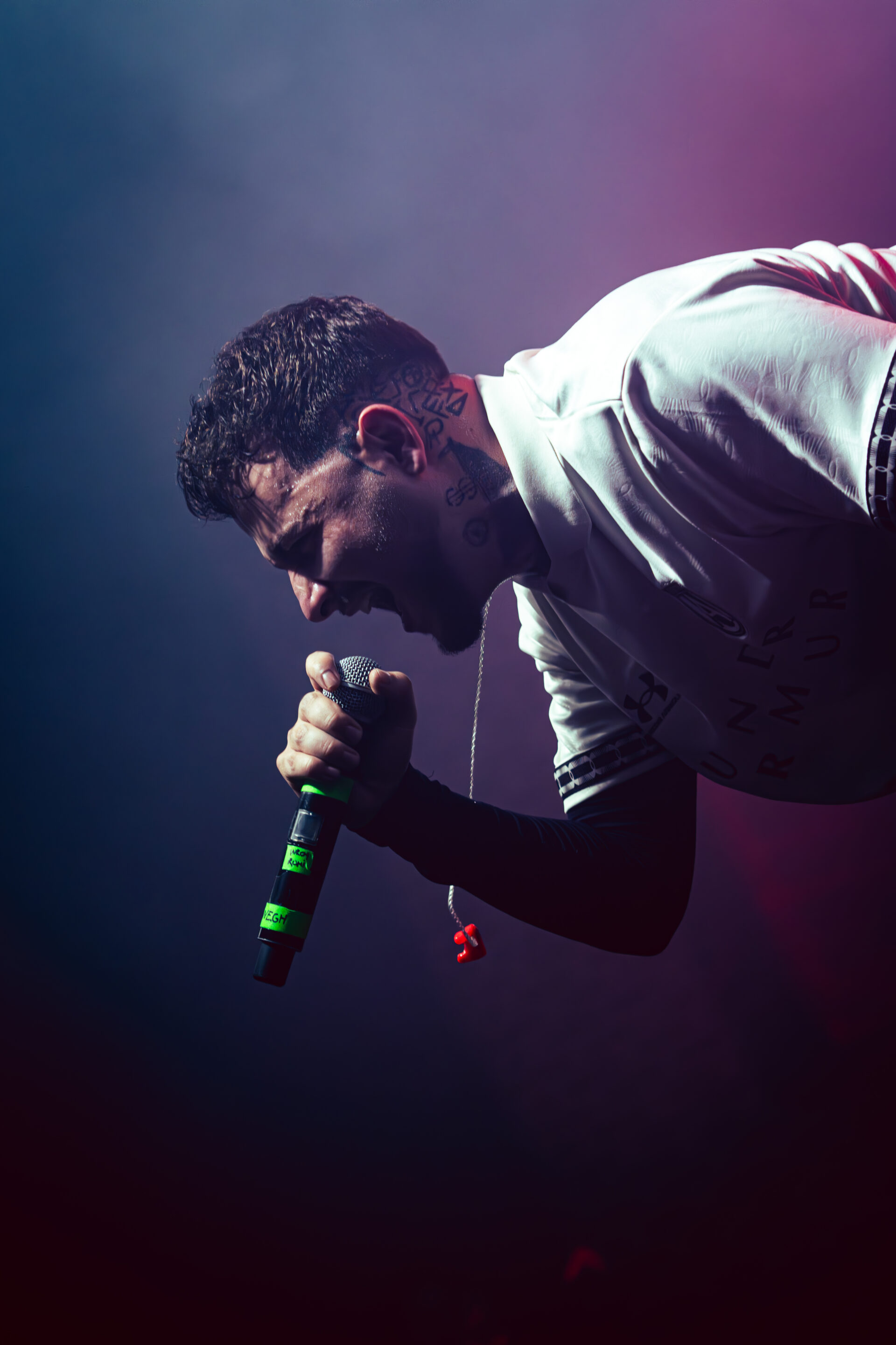 wegh-konser-yan-profil